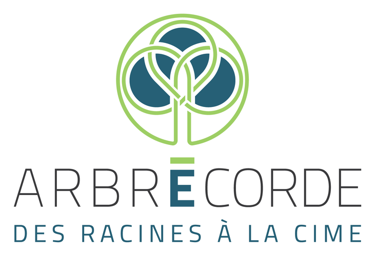 Arbrécorde — des racines à la cime